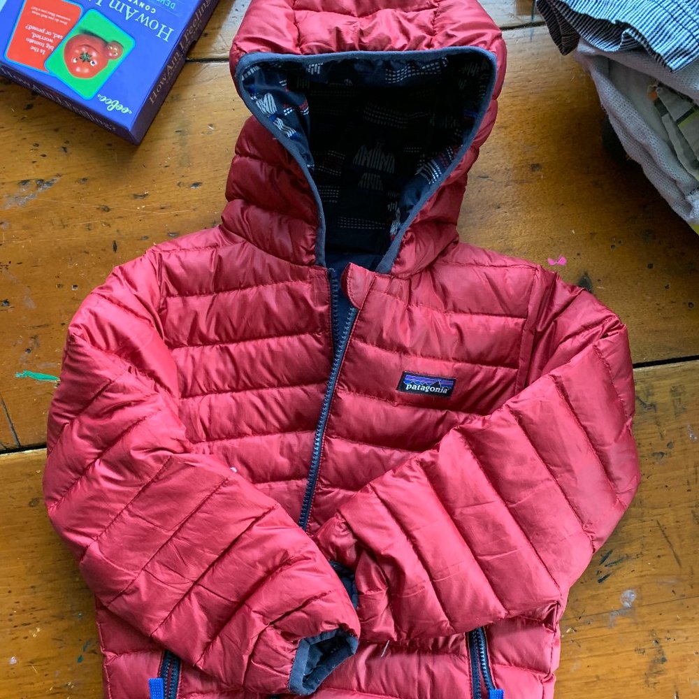 Patagonia Reversible Down Sweater Hoody
